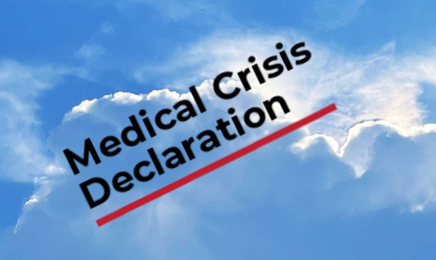 Expertengruppe fordert Ausrufung einer internationalen medizinischen Krise